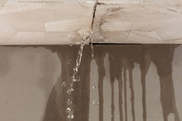 Professional Structural Drying technician working in Anderson, MO